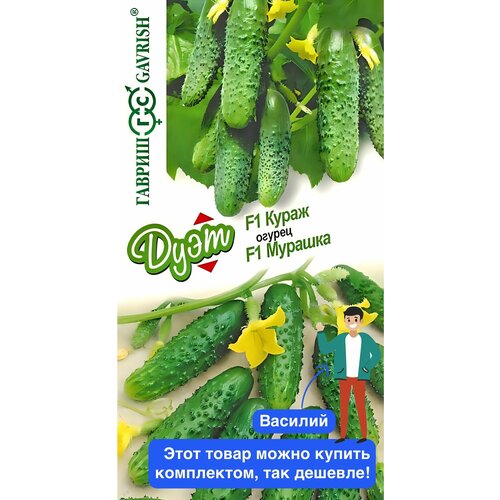 ���� ������ ������ ���� ������ ����� F1+������ ������� F1 20 ��., ������ �� 156 ���