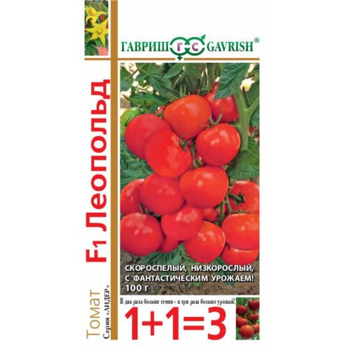     F1 25   () 1+1,   66 