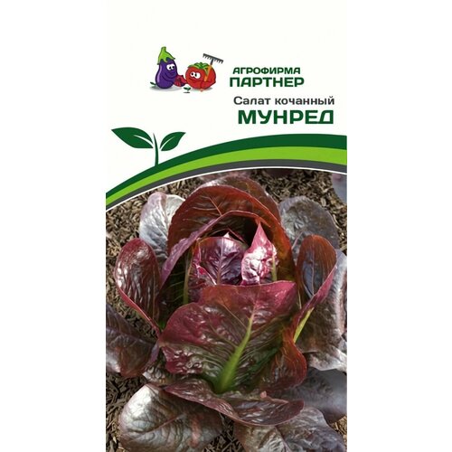 ���� ������ ������ ��������� ������� 