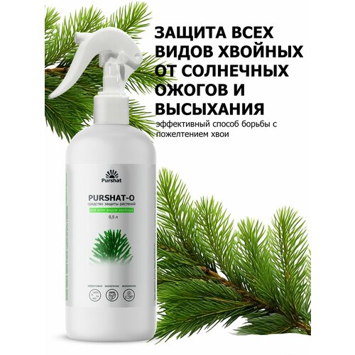 ���� ��������� ������-� ��� ������� �� ��������� ������ � ������ 500 ��, ������ �� 532 ���