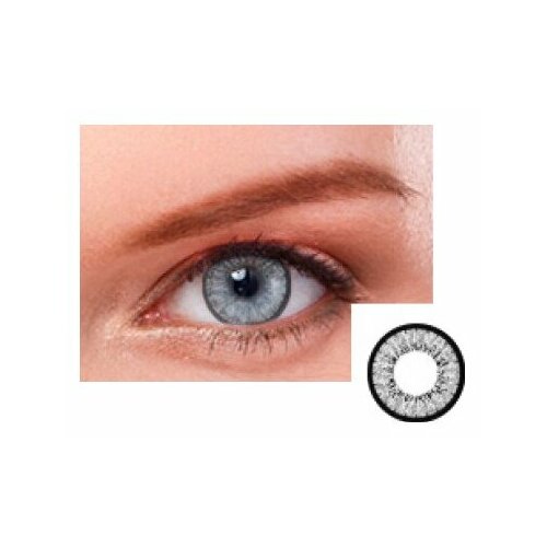 ���� ���������� ����� EOS P-con D 14.0, 2 ��., R 8,6, D -4, 203 gray, 1 ��., ������ �� 1180 ���