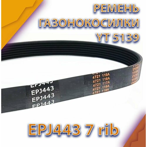     Technobelt EPJ443,   781 