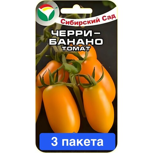 ���� ������ ������ ��������� ��� 