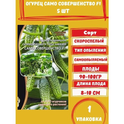 ���� ������ ������ ���� ������������ F1, 5 ����� 1 ��������, ������ �� 200 ���