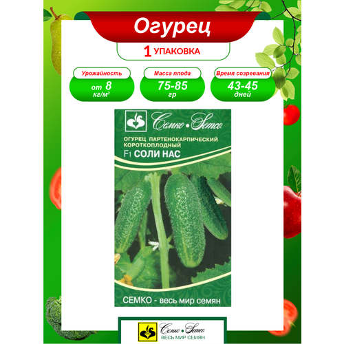 ���� ������ ������ ������������������ ���� ��� F1 ����������� 5 ��./����., ������ �� 379 ���