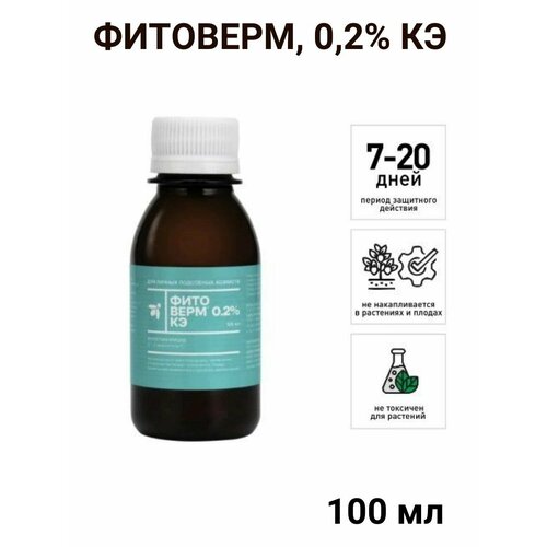 ���� ��������, ������ �� 300 ���