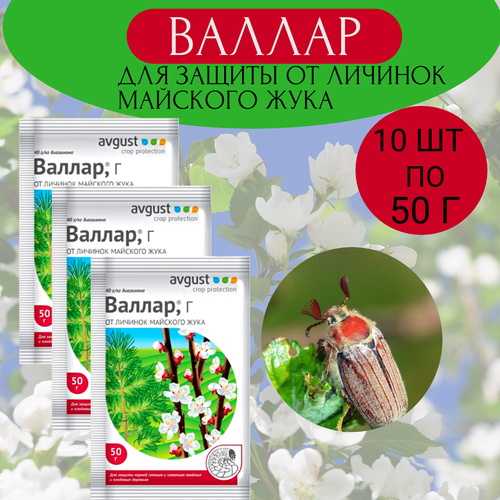 ���� August ������ 50 �, 10��, ������ �� 779 ���