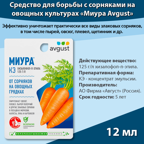 ���� �������� ��� ������ ������ �� �������� ����� 12 ��, �������� �� �������� �� ������� ������ �����, ������ �� 170 ���