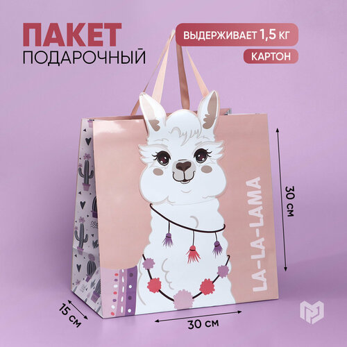 ���� ����� ���������� ������� �����, 30 � 30 � 15 ��, ������ �� 259 ���