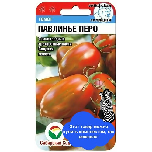 ���� ������ ������ ��������� ��� 