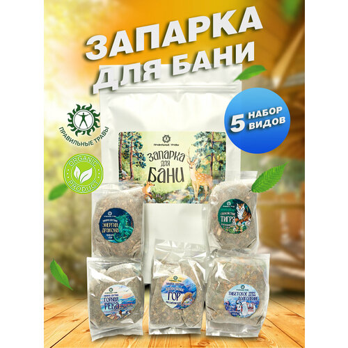 ���� ������� ��� ���� � �����, 5 �������� ������, ������ �� 431 ���