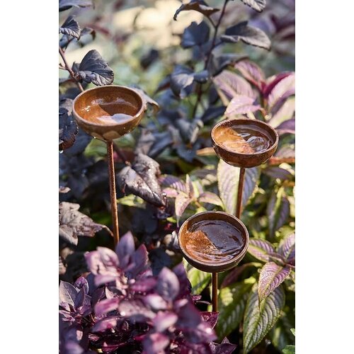 ���� ����� ��� �������� � ������ ������� 60�� �����, ������ �� 507 ���