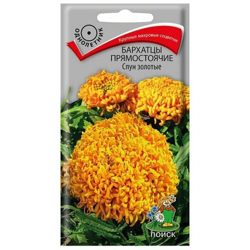 ���� �������� ������������ ���� �������, 0,1�� (������). ��������� �����., ������ �� 265 ���