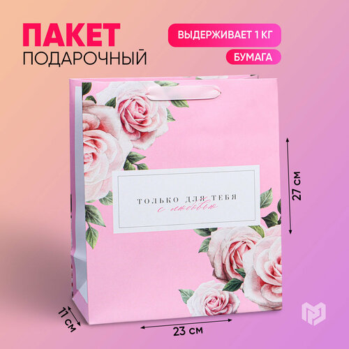 ���� ����� ���������� ������� ��� ���� � ��������, 23 ? 27 ? 11,5 ��, ������ �� 164 ���