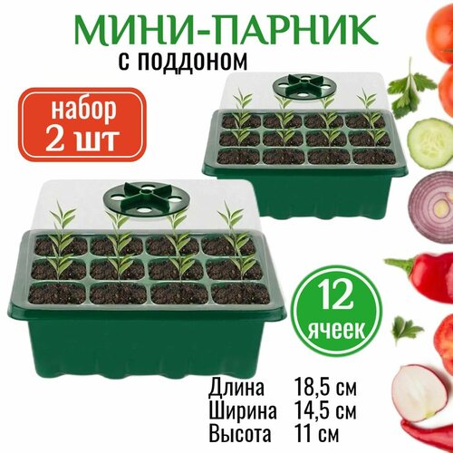 ���� ����-������ ��� ������� �� ���������� - 2 ��. ������� ��� ����� ����� ����� ��� ����������� �������, ������ �� 950 ���