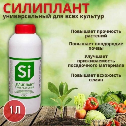 ���� ������������� ����������������� ������ �������������� ��������� 1�, ������ �� 1900 ���