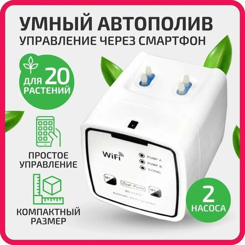 ���� ��������� ��� 20 ��������� ��������, ��������� ����� ��� �������� ������ � �������, ������ �� 3600 ���