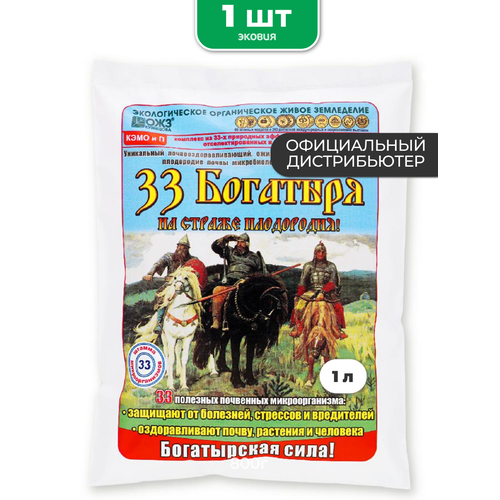 ���� 33 �������� ��������� ��� �������� ������� ��������� 1 ��, ������ �� 217 ���