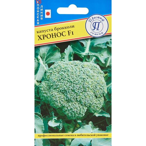 ���� ������ ������� �������� ������ F1 10�� ������ (�������), ������ �� 83 ���