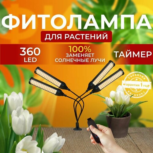 ���� ��������� ��� ����������� �������� ������� ������ ������ �������������� ������������ ��� ������ �� ������ ������� � ��������� � ��������, 4 �����, ������ �� 3150 ���