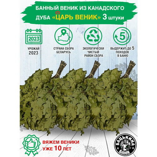      3 .     ,    ,    .  .,   1000 