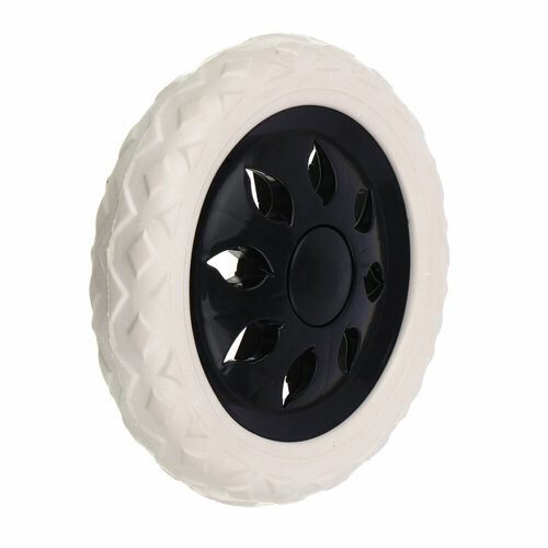 ���� ������ ��� �����-�������, ������� 16 ��, ������ �� 250 ���