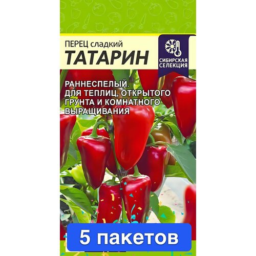 ���� ������ ������ ������ ����� 