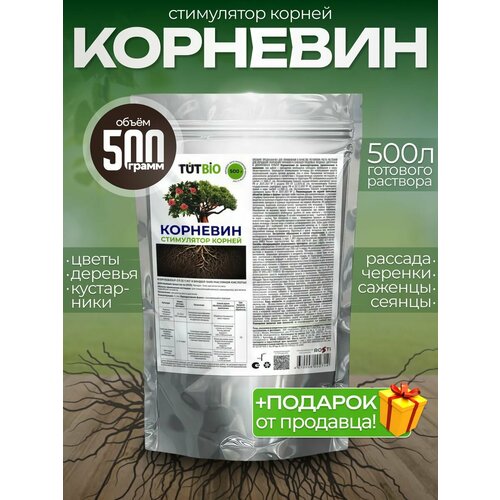 ���� ���������� ����� ������ TUTBIO 