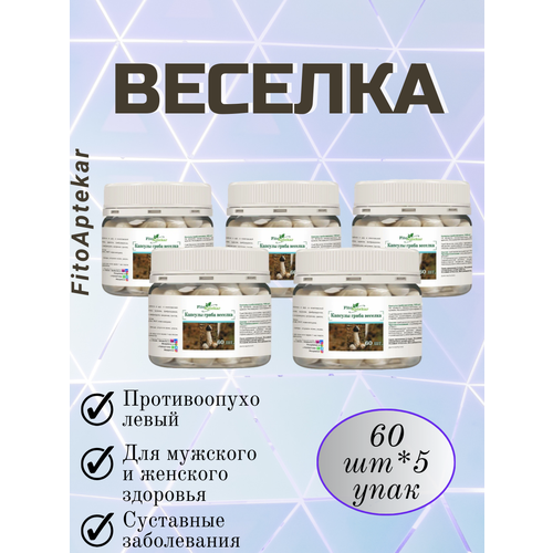 ���� ���� ������� � �������� 60��*5 ��������, ������ �� 4500 ���