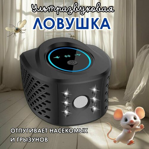 ���� ������������ 100% - ���������, �������������� ������������ �����, ����, ���������, ������ �� 1830 ���