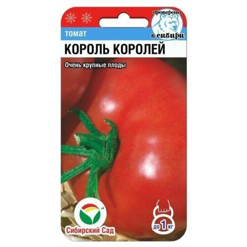 ���� ������ ����� ������ ������� 20�� ����� (��������� ���), ������ �� 52 ���