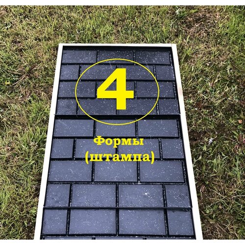 ���� ����� (4��.) ����� ��� ������� ������� (���������), ������ �� 2957 ���