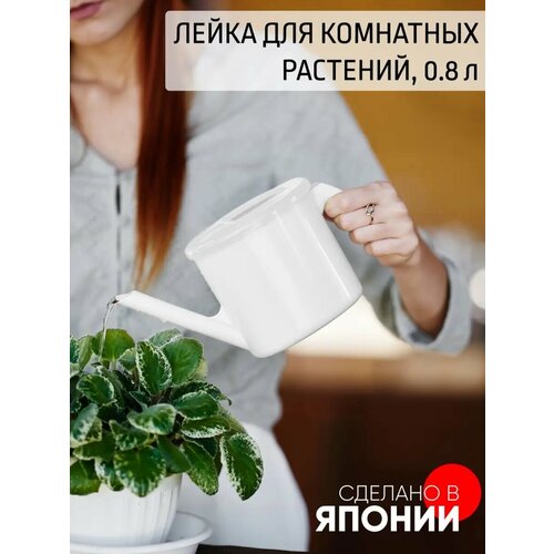 ���� ����� ��� ��������� �������� 800 ��, ������ �� 374 ���