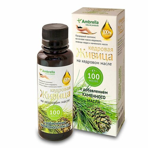 ���� ������ �������� �� �������� ����� � �������� ������ 100 �� Ambrella, ������ �� 502 ���