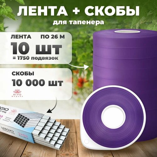 ���� ����� ��� �������� / ���������� �������� / �������� ��� �������� �������� ������ 10�� �� 24� + ����� 10,000 ��, ������ �� 481 ���