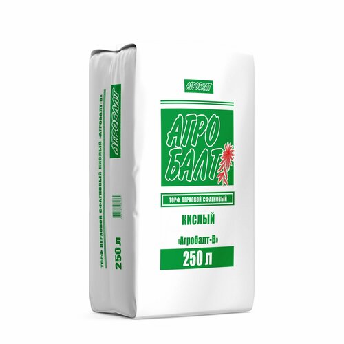 ���� ��������-�, ���� ������ �������� ������ ������� ���������� 250 �. (������� 0-20 ��.), ������ �� 1920 ���