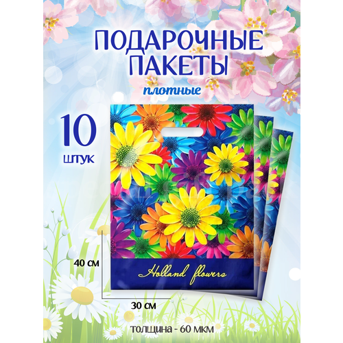 ���� ����� ���������� ������� � ������� 