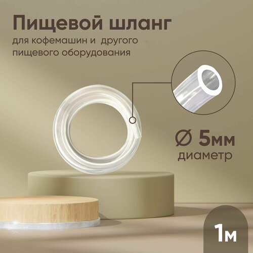 ���� ����� ��� 5 �� (���������� �������) (1 ����) / ���������� / �������, ������ �� 284 ���