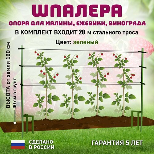 ���� ����� ��� ��������, �������, ������ �� 4400 ���