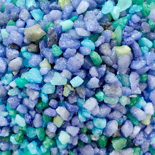 ���� ����������� ����� ��� ��������, ����������� � ��������, Zoo One, ��������� ��������, 