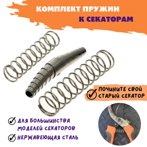 ���� �������� ������ � ��������� (2����+1�������) (������� ����), ������ �� 265 ���