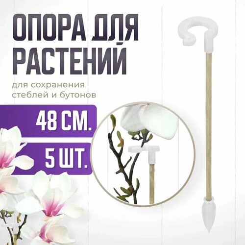 ���� ����� ��� �������� � �������, ������� ������� ��� �������, ��� ������� , ��������� ������ 48 �� 5 ����, ������ �� 237 ���