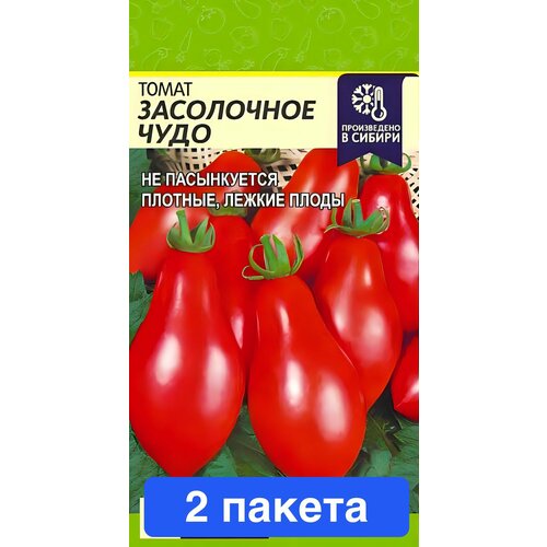 ���� ������ ������ ������ ����� 