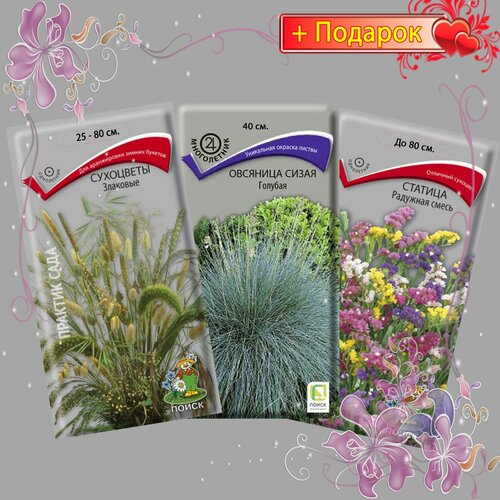 ���� ����� ����� ������ ���������, �������� �����, ������� (������, ��������),3��., ������ �� 410 ���