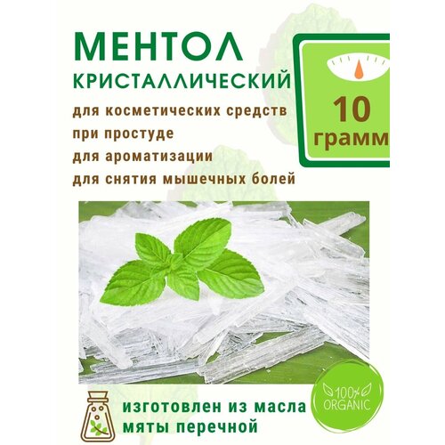 ���� ������ ��������������� 10 �, ������ �� 246 ���