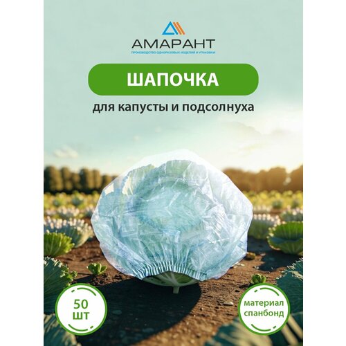 ���� ������� ������� ��� ������� � ����������, ������� 50 ��, ������ �� 291 ���