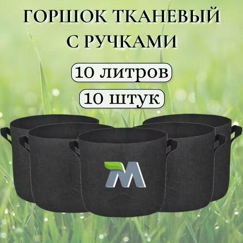         .   . 10  10 ,   1650 