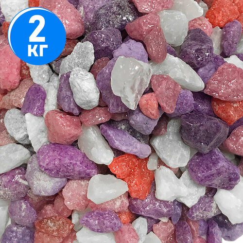 ���� ����������� ����� ��� ��������, ����������� � ��������, Zoo One, ��������� ��������, 