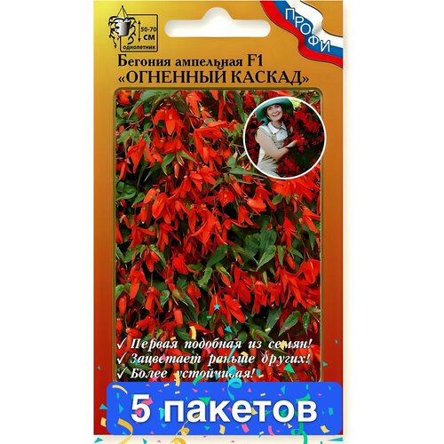 ���� ����� ������� �������� ������ F1 ��������� 5 �������, ������ �� 1659 ���