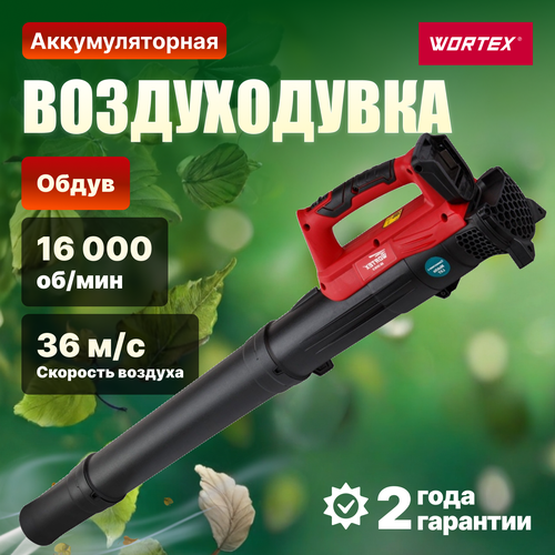    WORTEX BB 2018 D ALL1 (CBB2018D0011)   -     , -, 